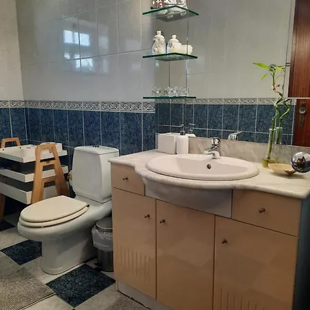 Casa Camelias Nyaraló Aveiro