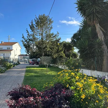 Casa Camelias Aveiro