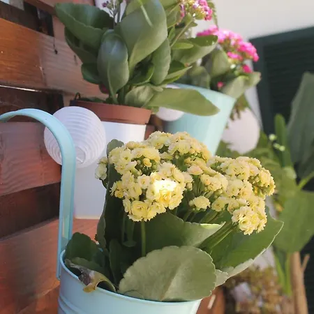 Casa Camelias בית נופש *