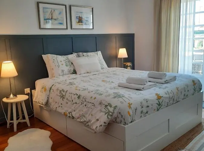 Casa Camelias 度假居 阿威罗