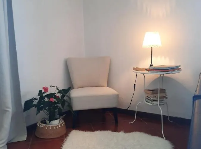 Casa Camelias * 阿威罗
