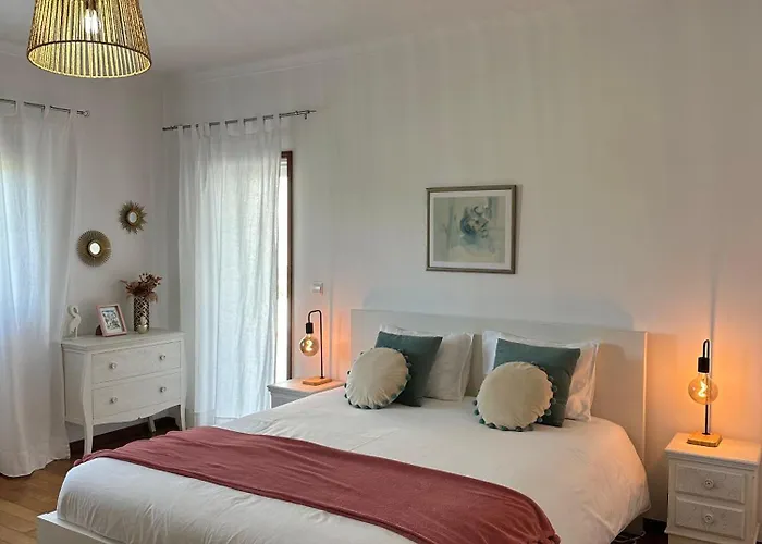 Casa Camelias * 阿威罗