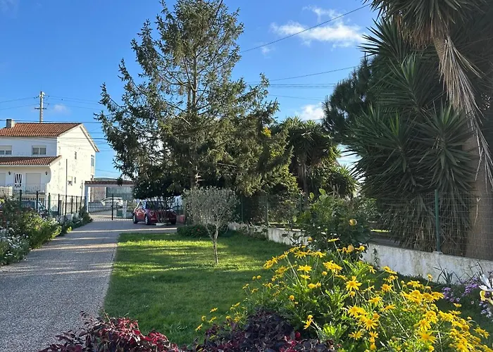 Casa Camelias 阿威罗